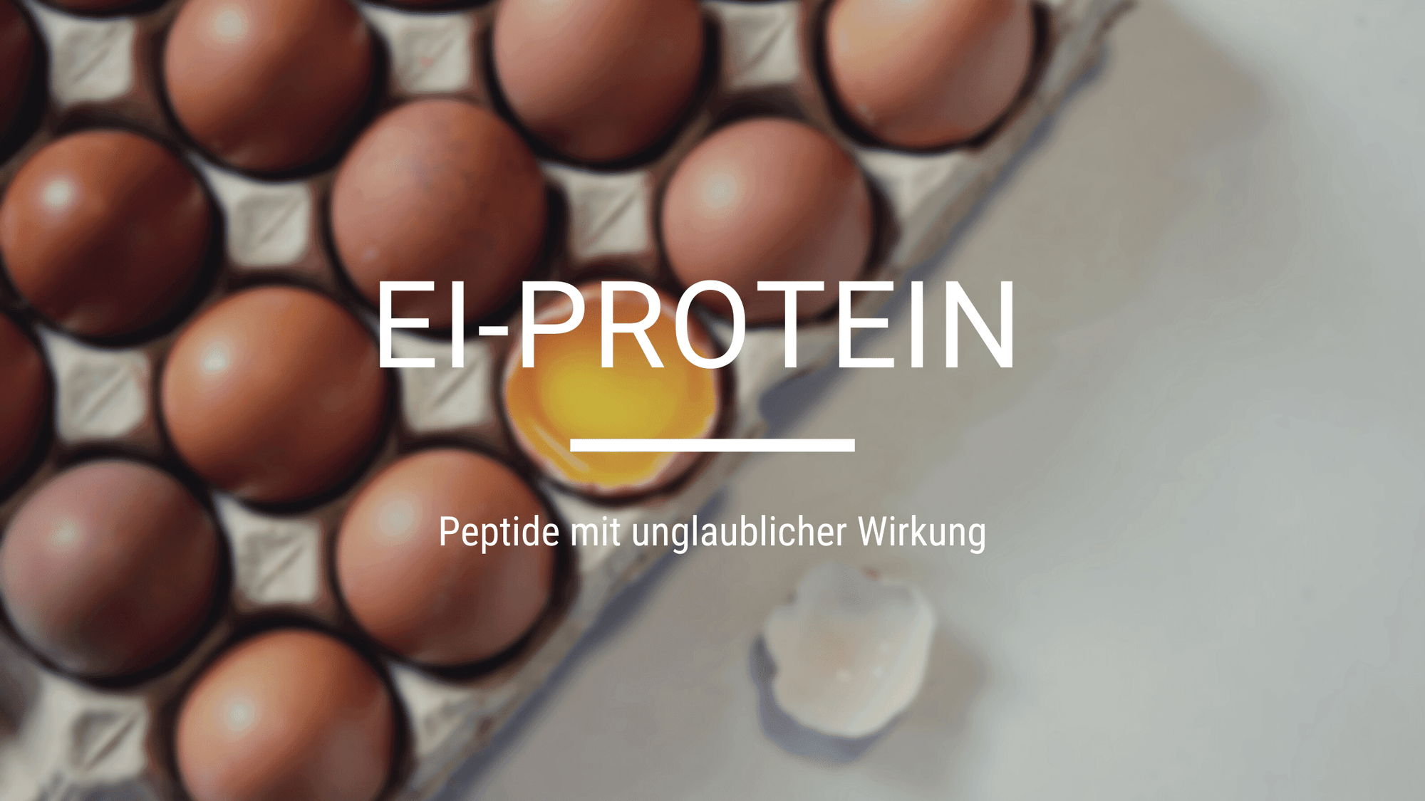 Ei-Protein: Peptide mit unglaublicher Wirkung - edubily GmbH