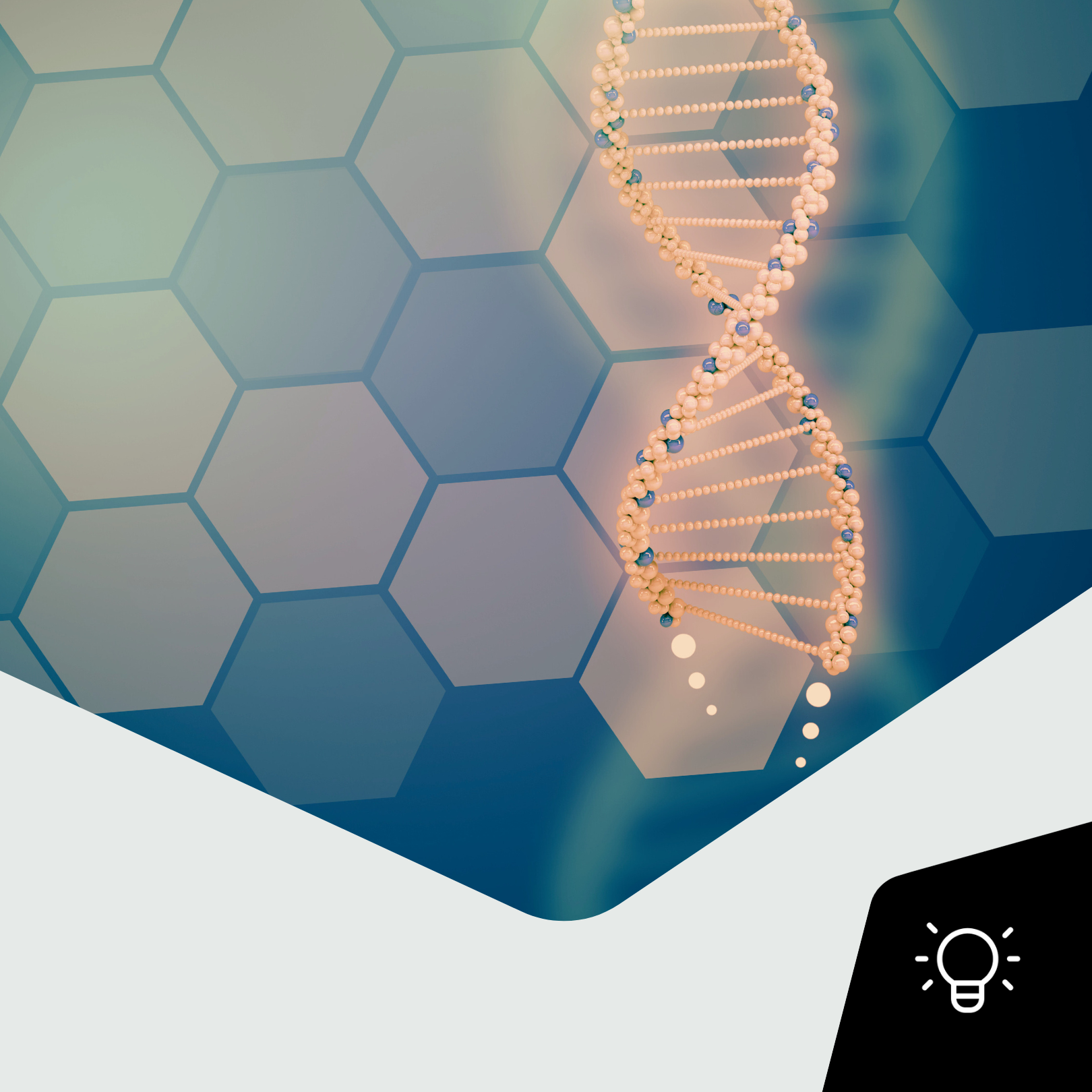 eduBasics Einstieg in die Biochemie