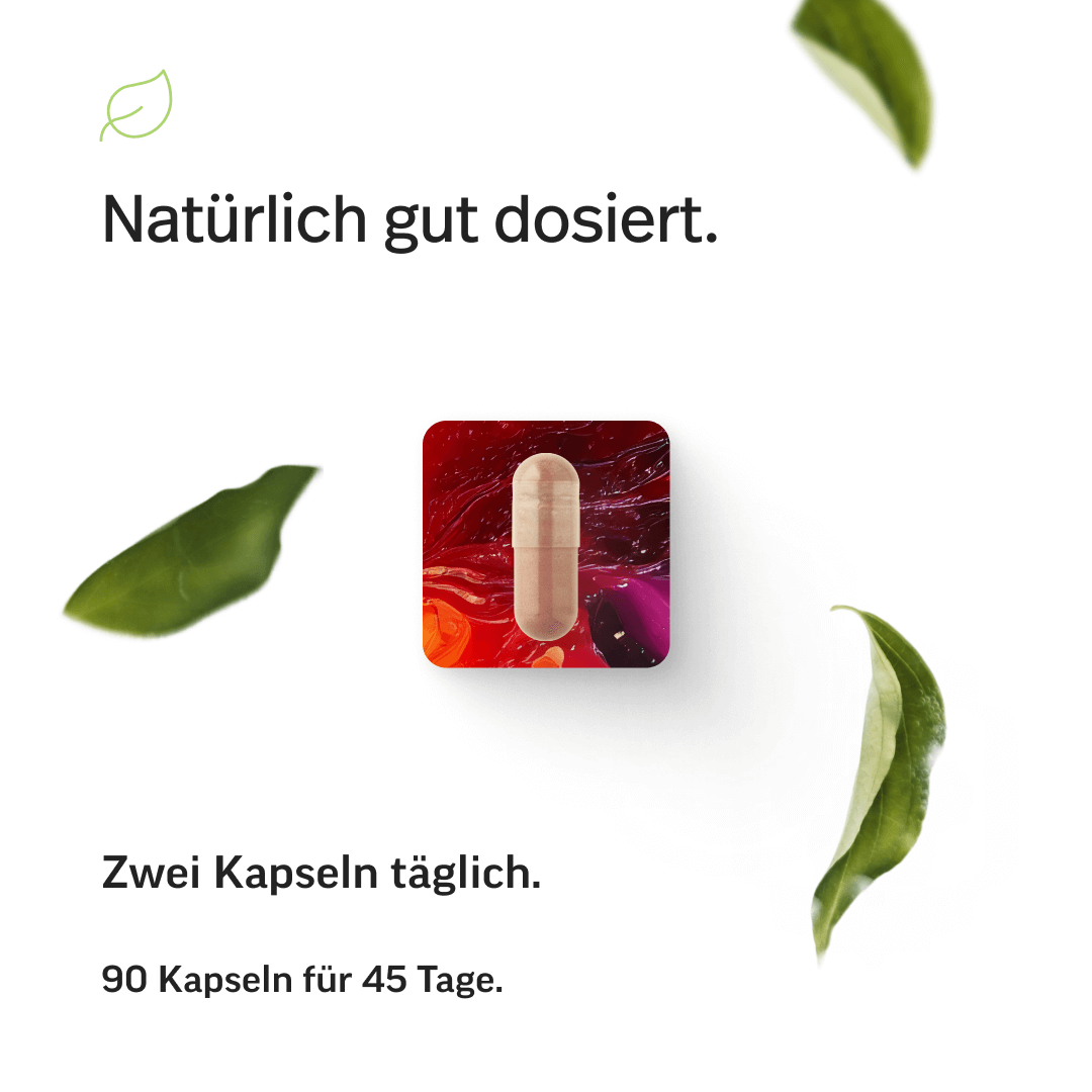 Eisen Kapseln mit Lactoferrin