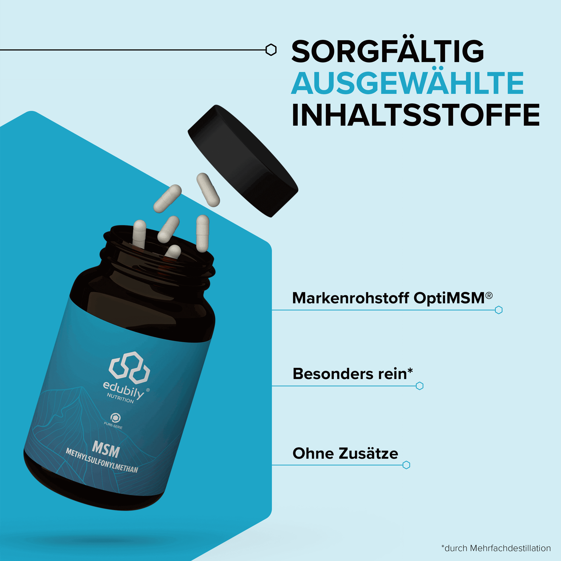 MSM Kapseln
