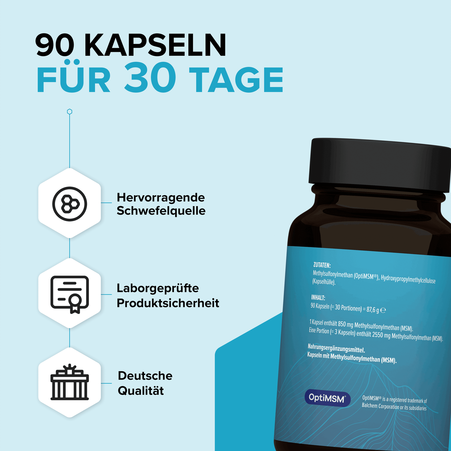 MSM Kapseln