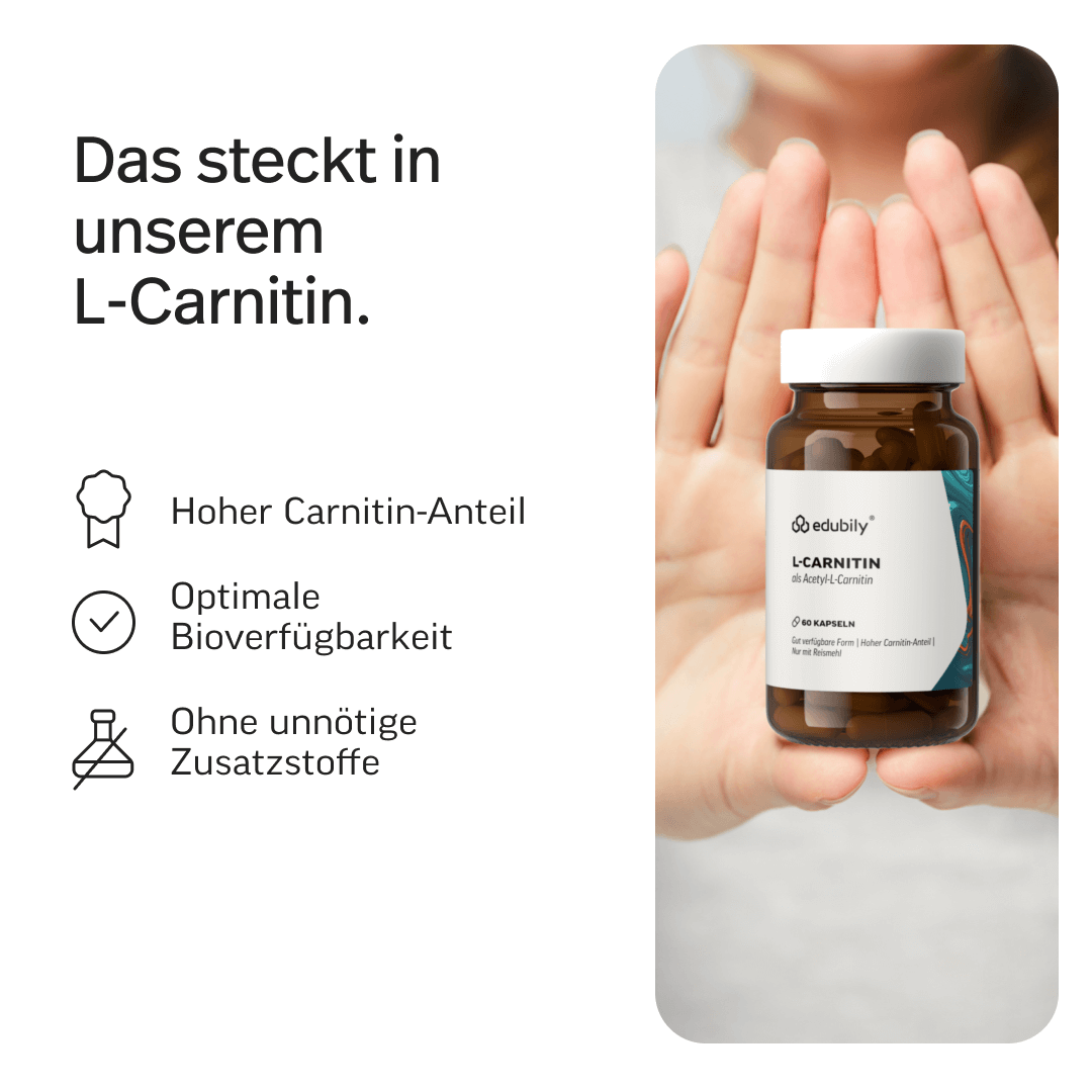 L-Carnitin Kapseln