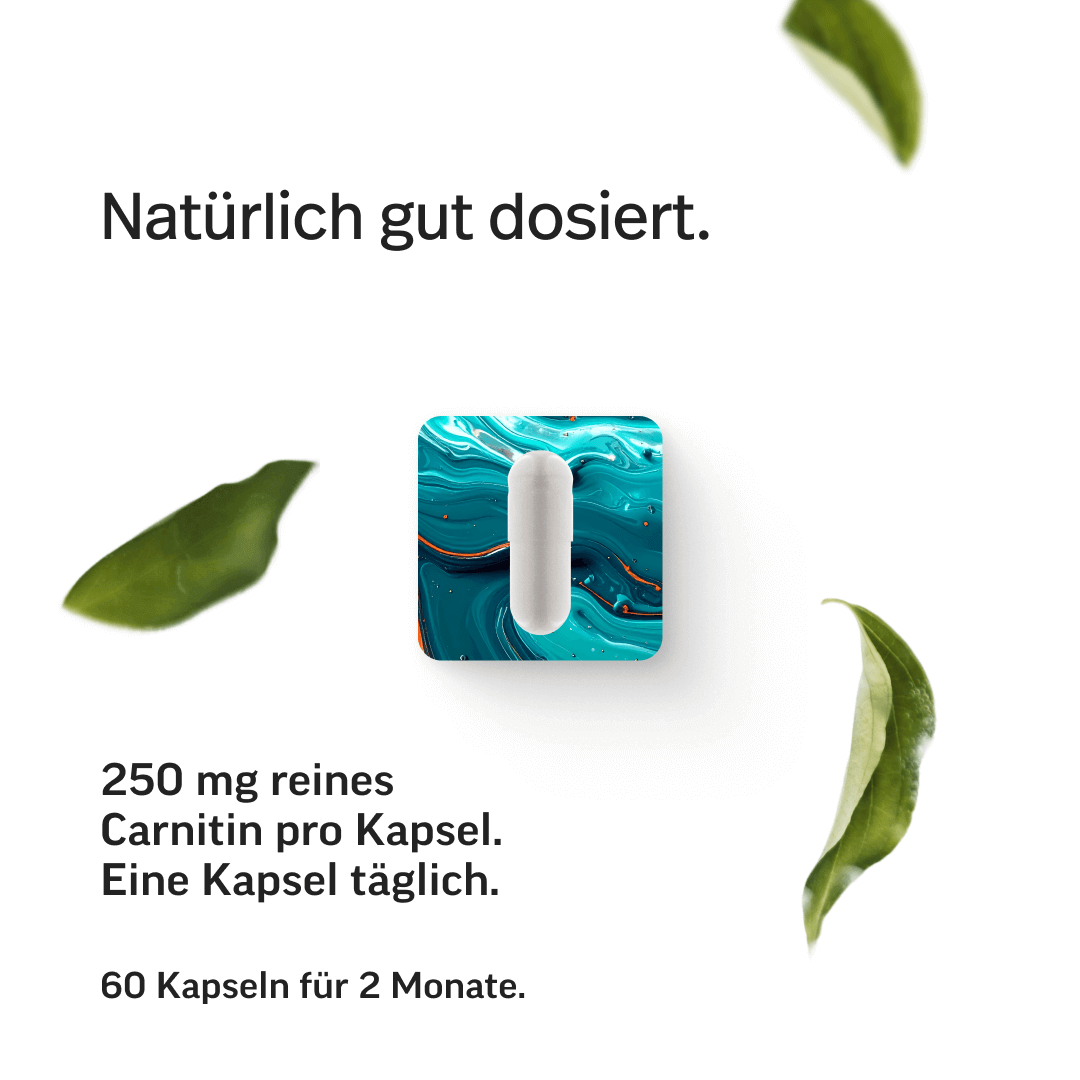 L-Carnitin Kapseln