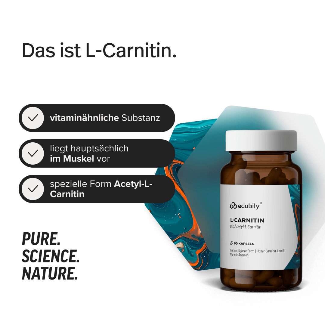 L-Carnitin Kapseln