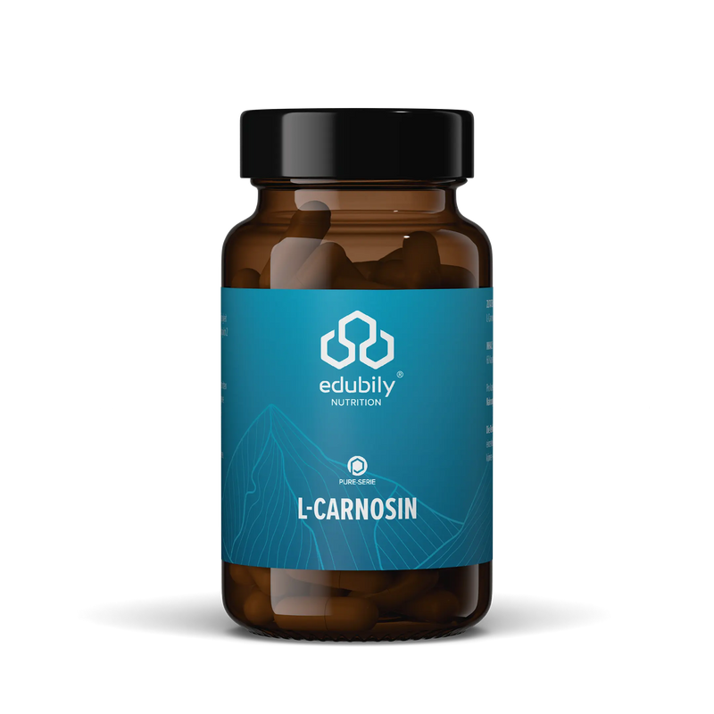 L-Carnosin Kapseln