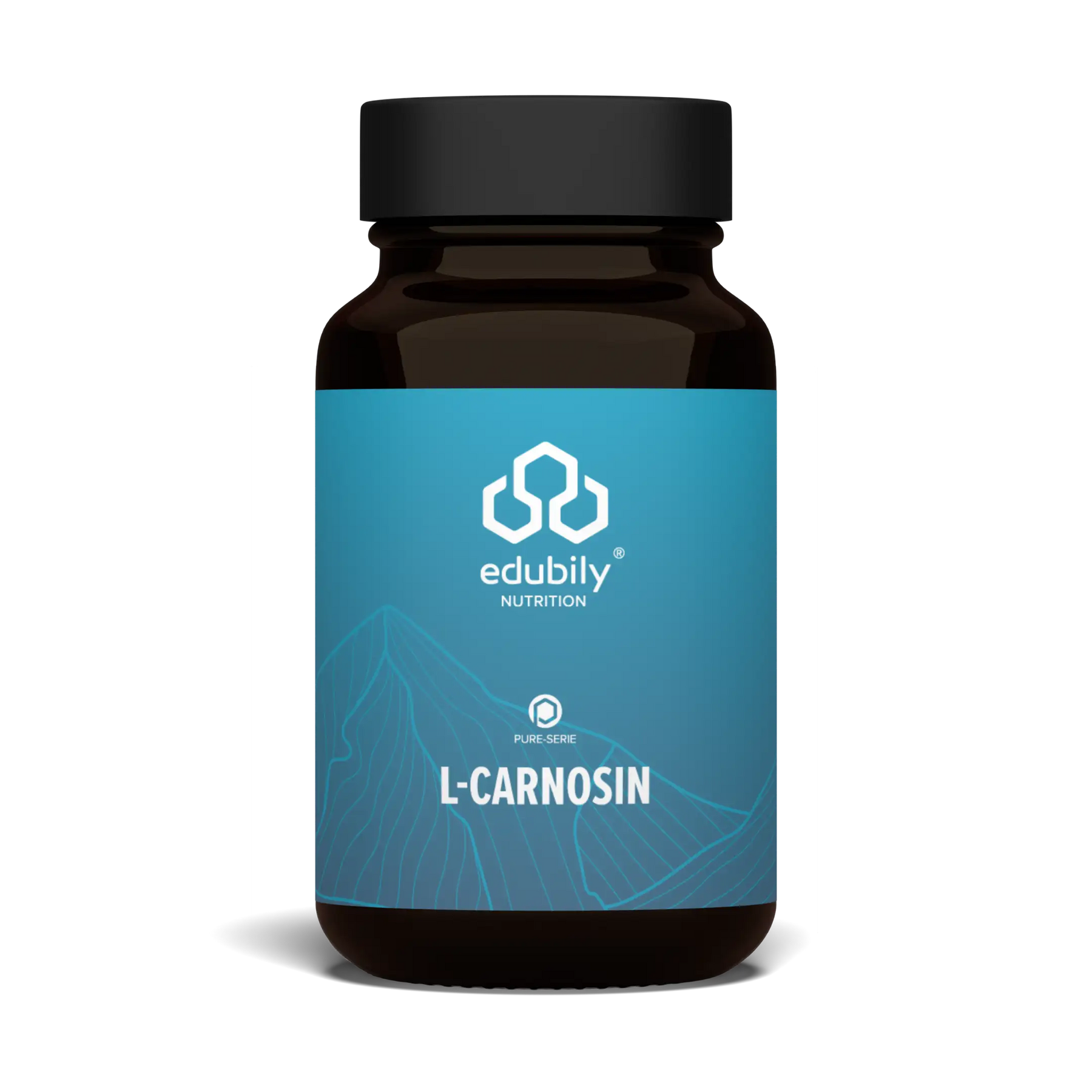 L-Carnosin Kapseln