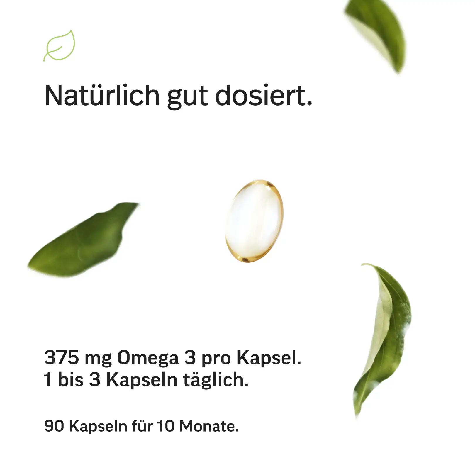Omega-3 Kapseln – Triglyceride 70 %