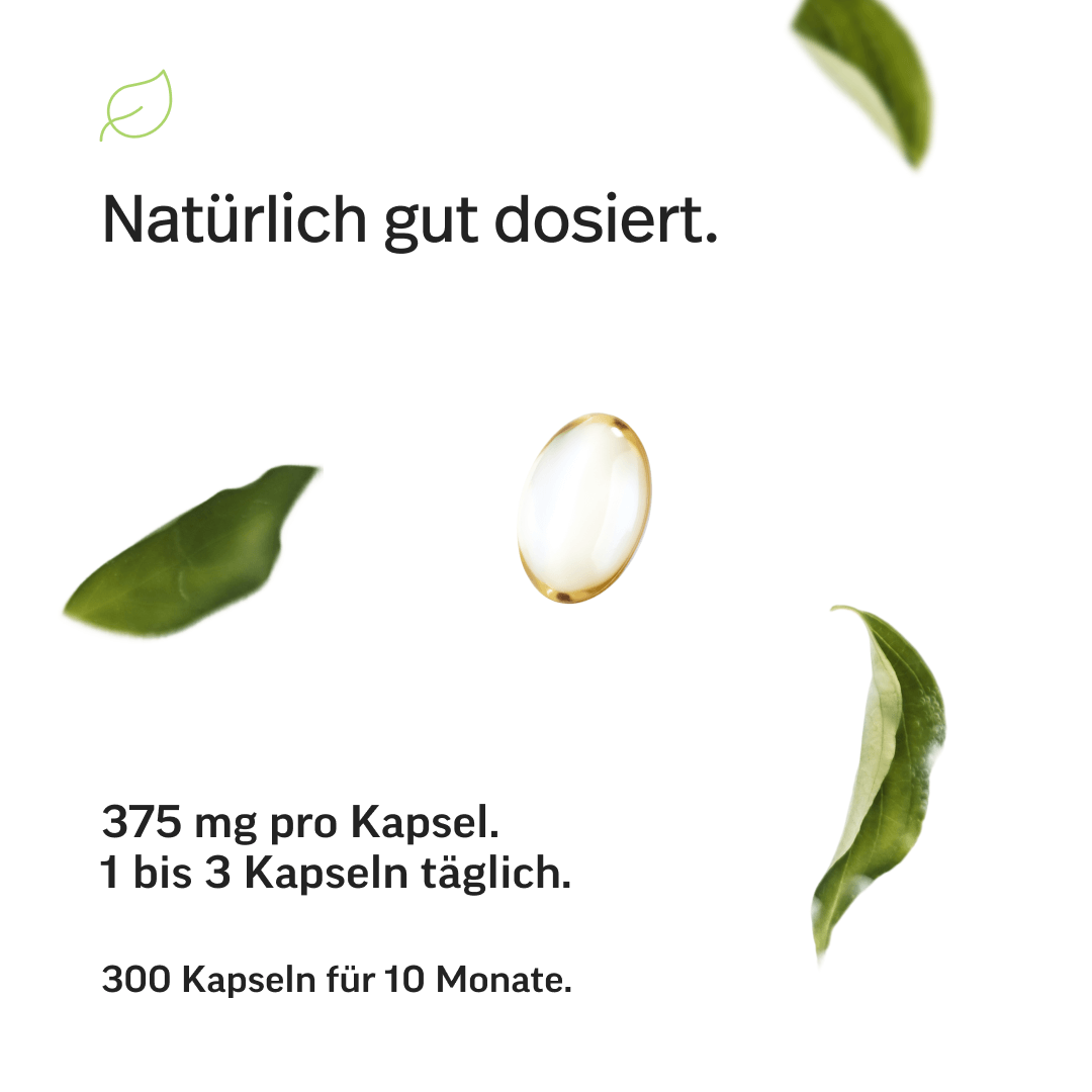 Omega-3 Kapseln – Triglyceride 70 %