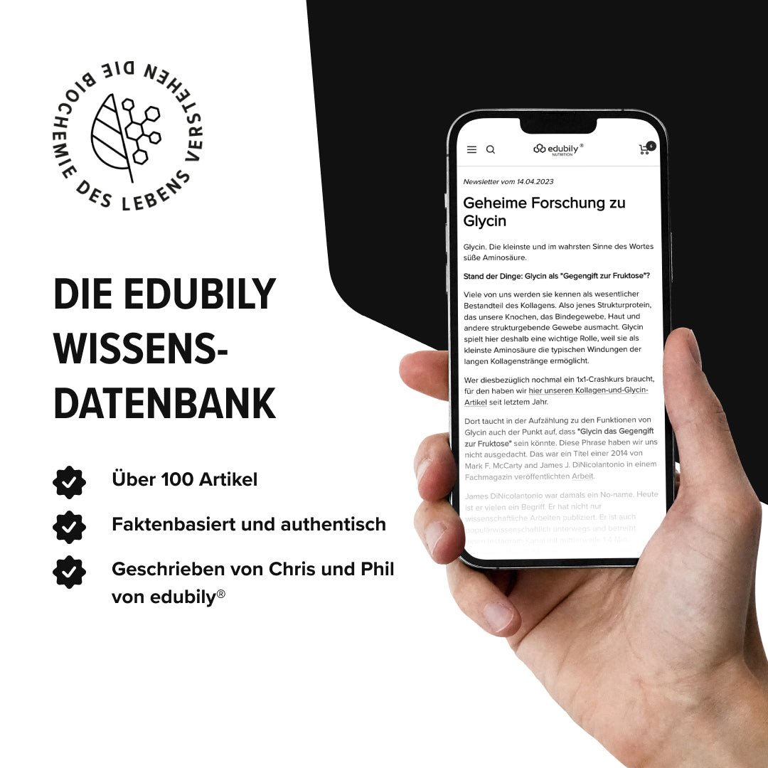 Wissensdatenbank