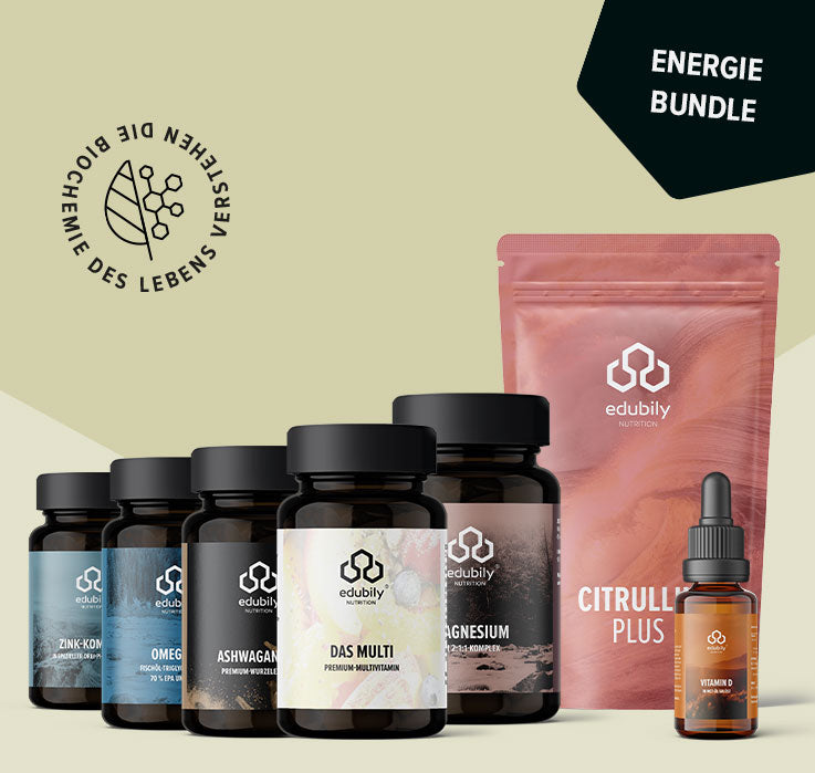 Energie-Bundle