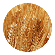 ingredient image