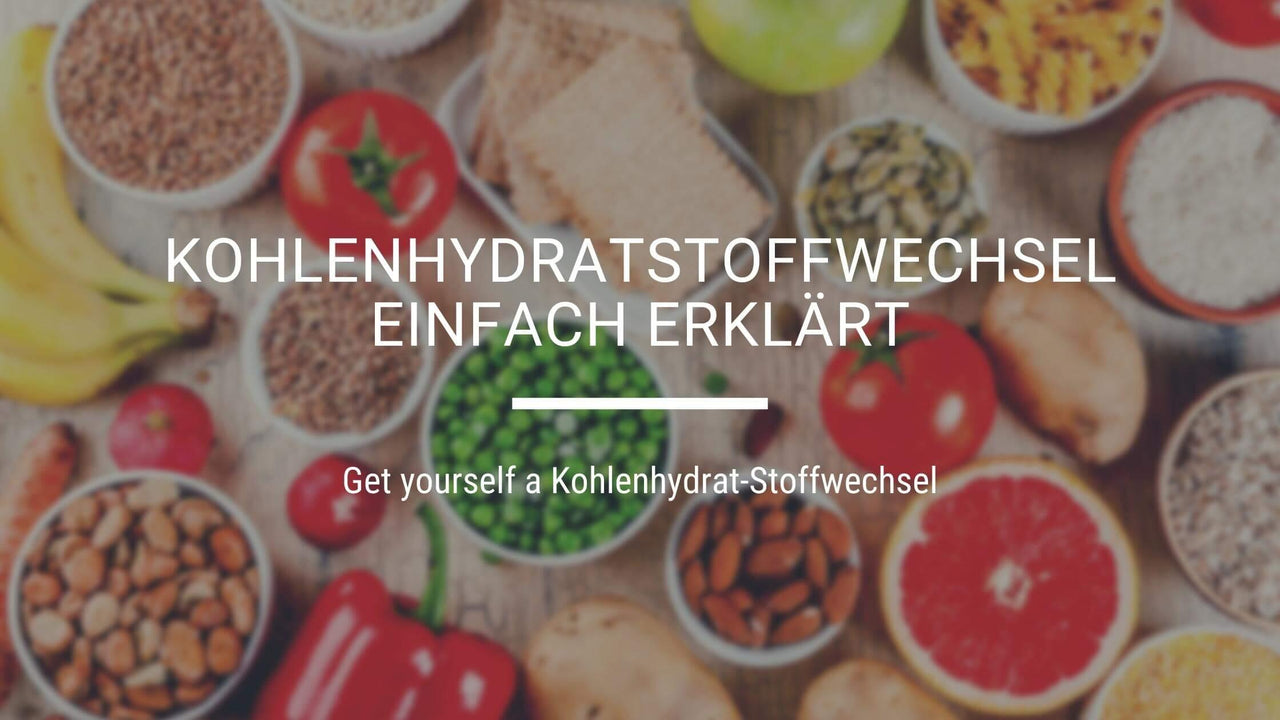 Kohlenhydratstoffwechsel einfach erklärt - edubily GmbH