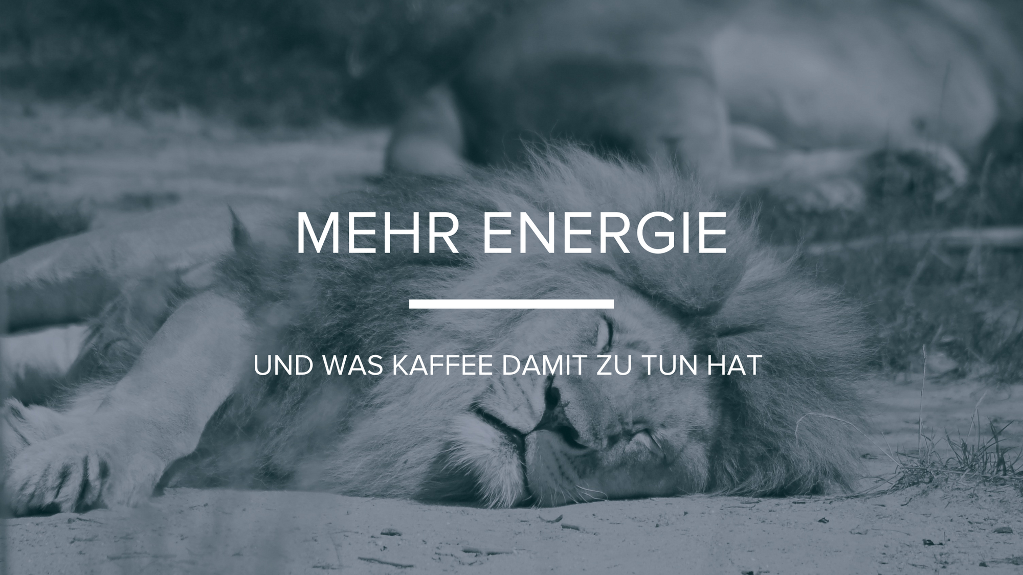 Mehr Energie!