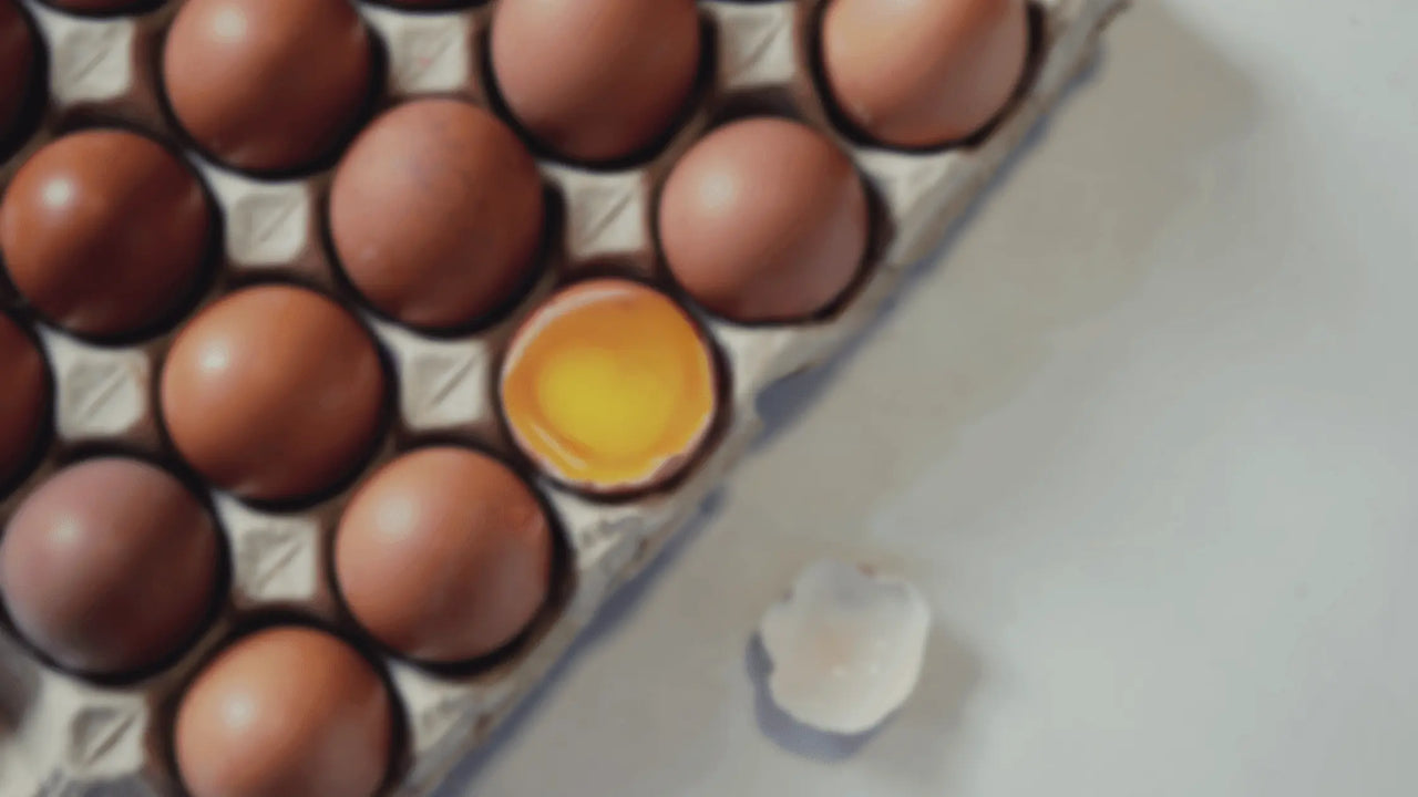 Eier Protein: Peptide mit unglaublicher Wirkung