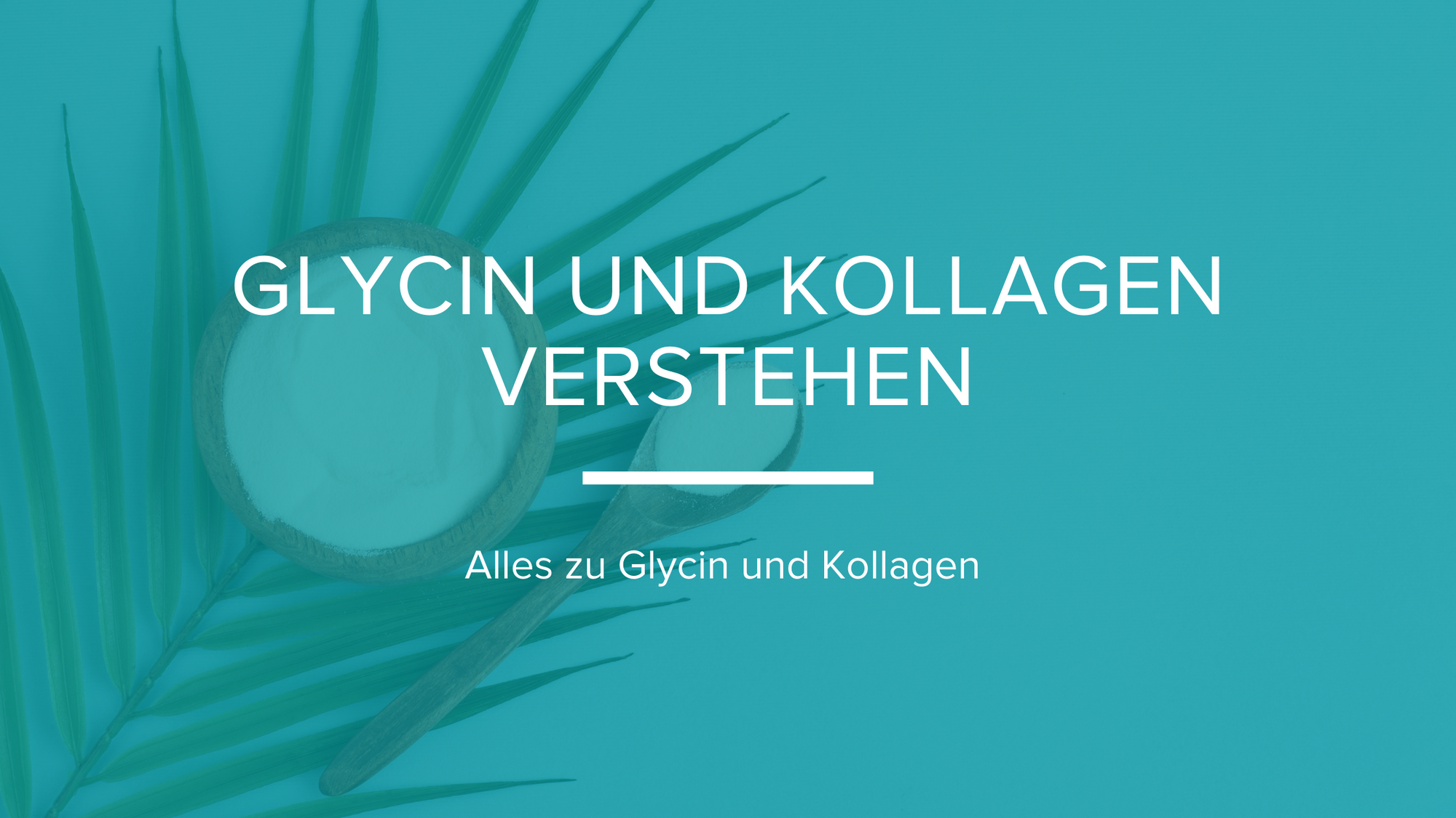 Glycin und Kollagen verstehen - edubily GmbH