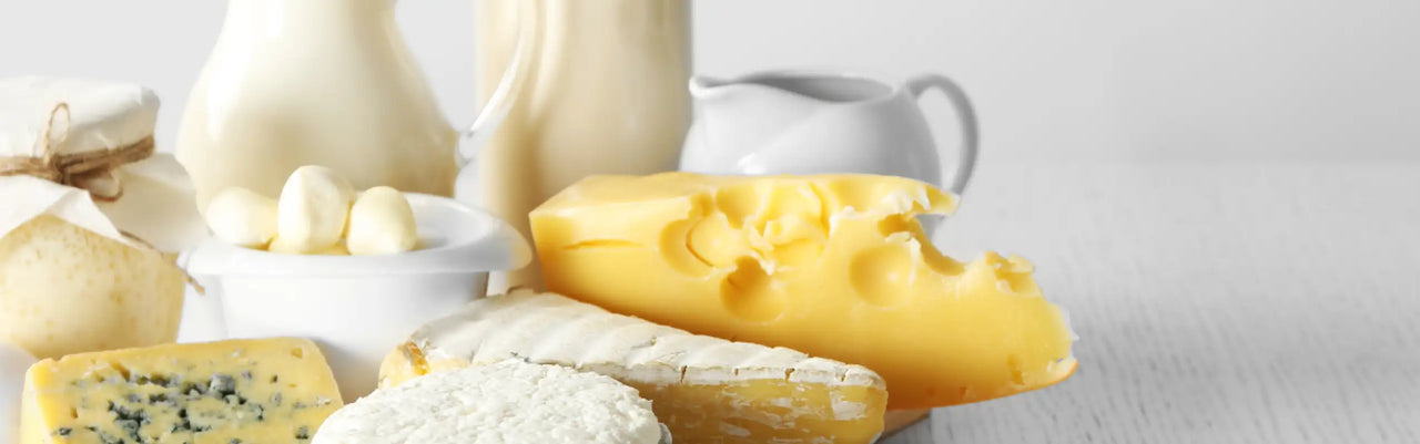 Milchprodukte – wertvolles Lebensmittel oder problematisch?