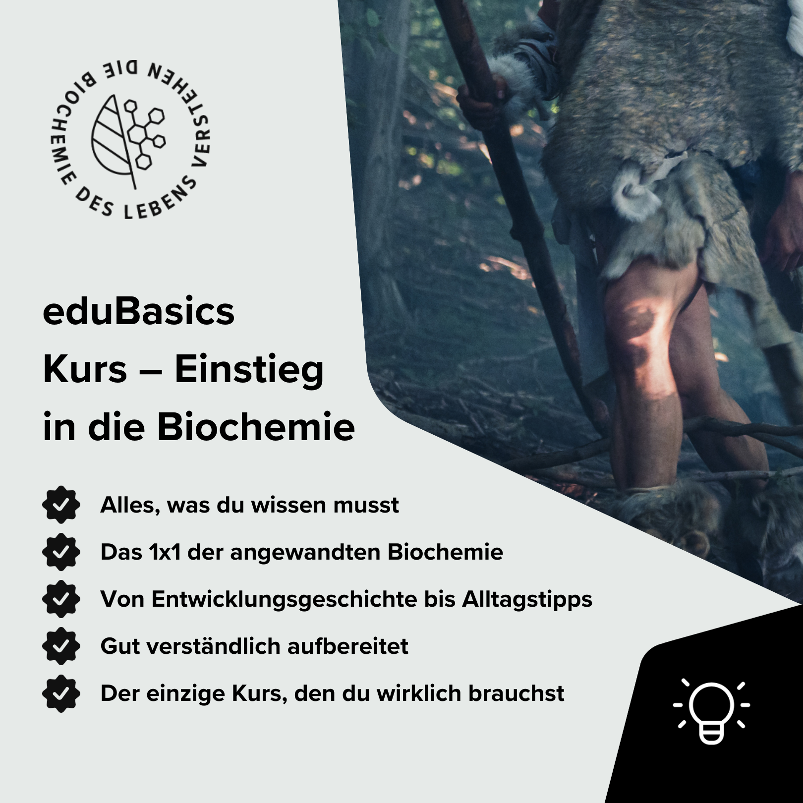 grundlagenkurs übersicht