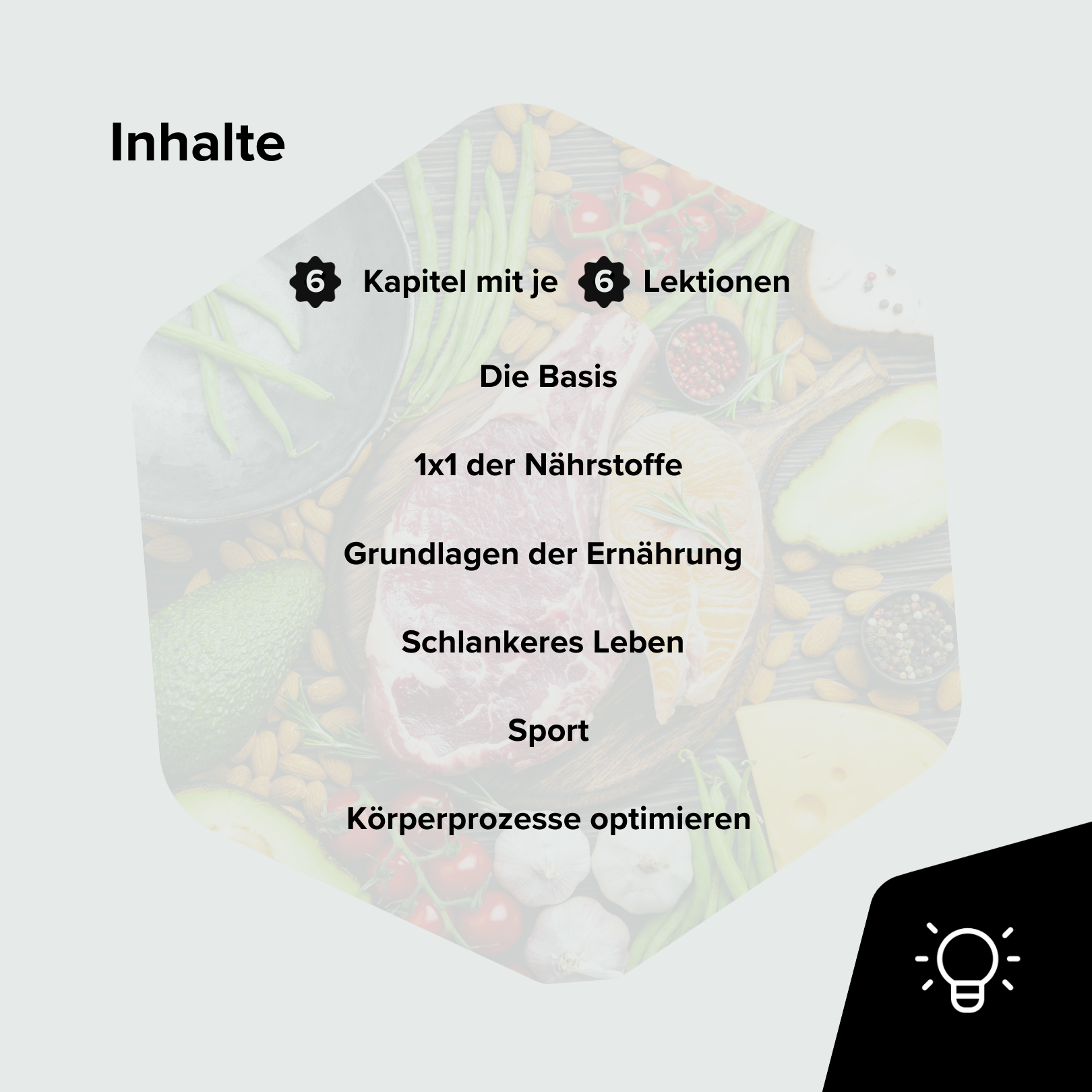 kurs inhalte