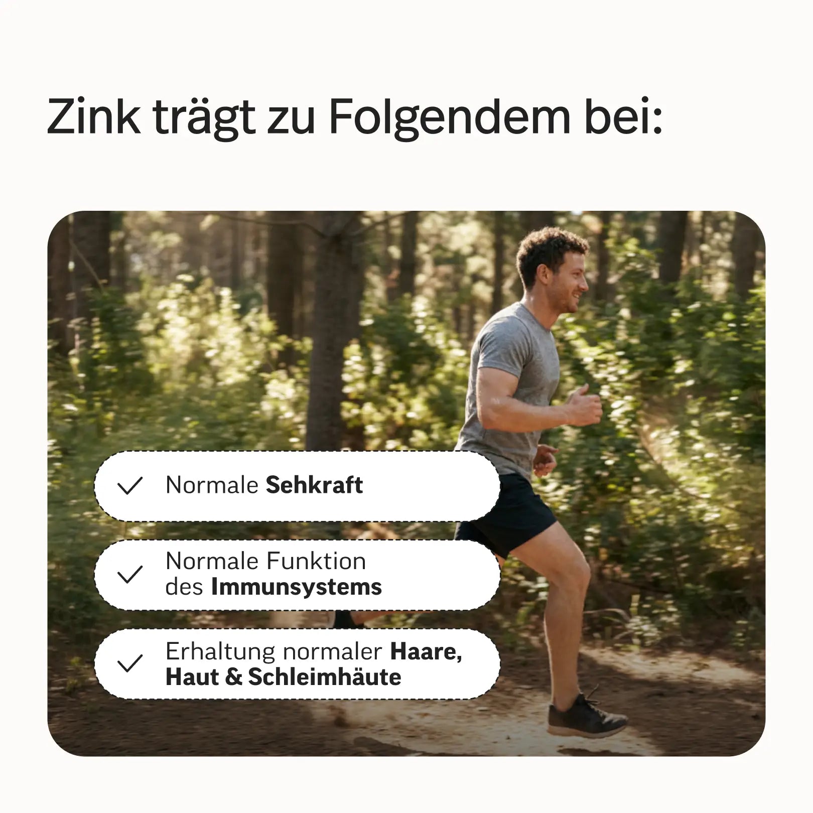 Testosteron-Bundle