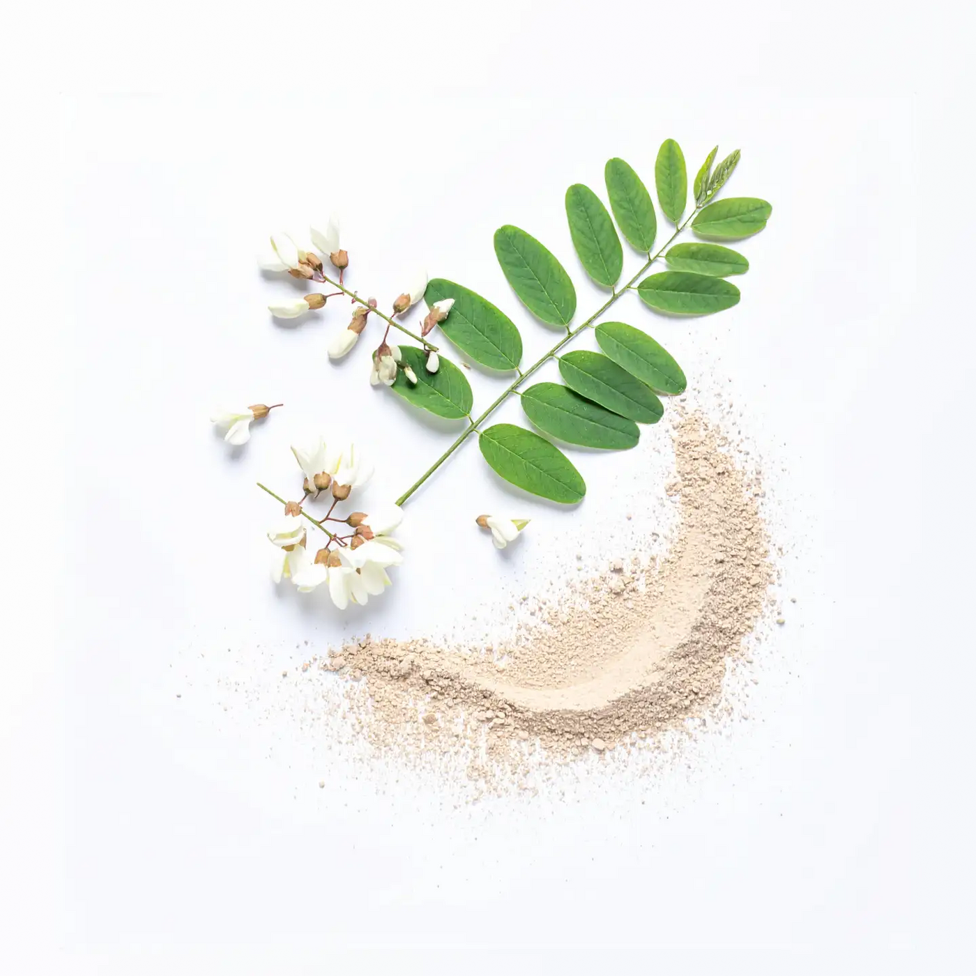 Vitasauri® - Kids Flor