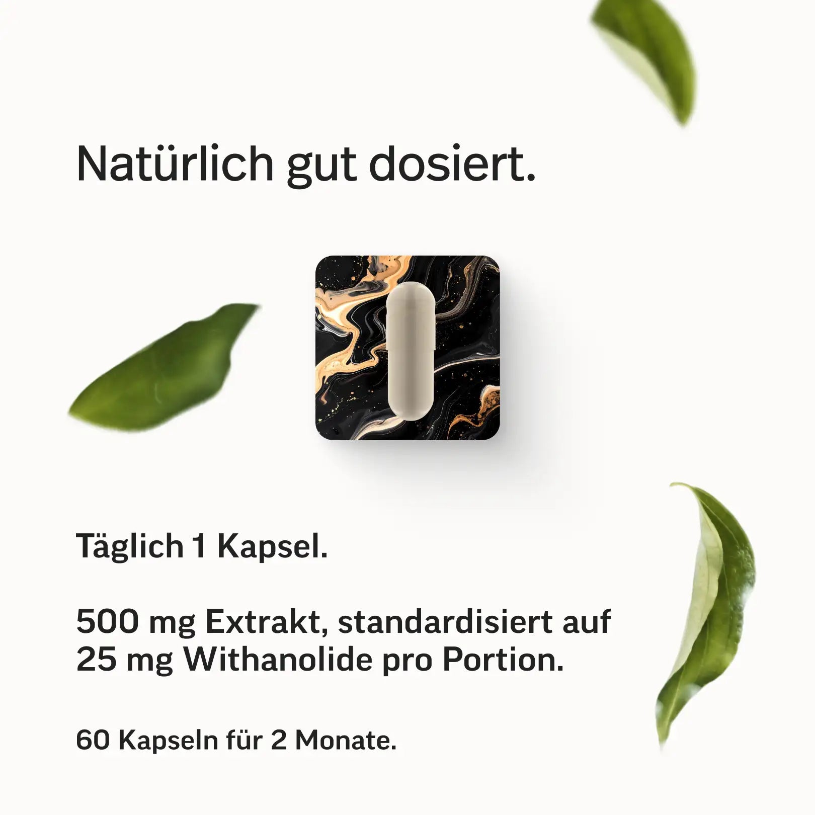 Ashwagandha Kapseln KSM-66®
