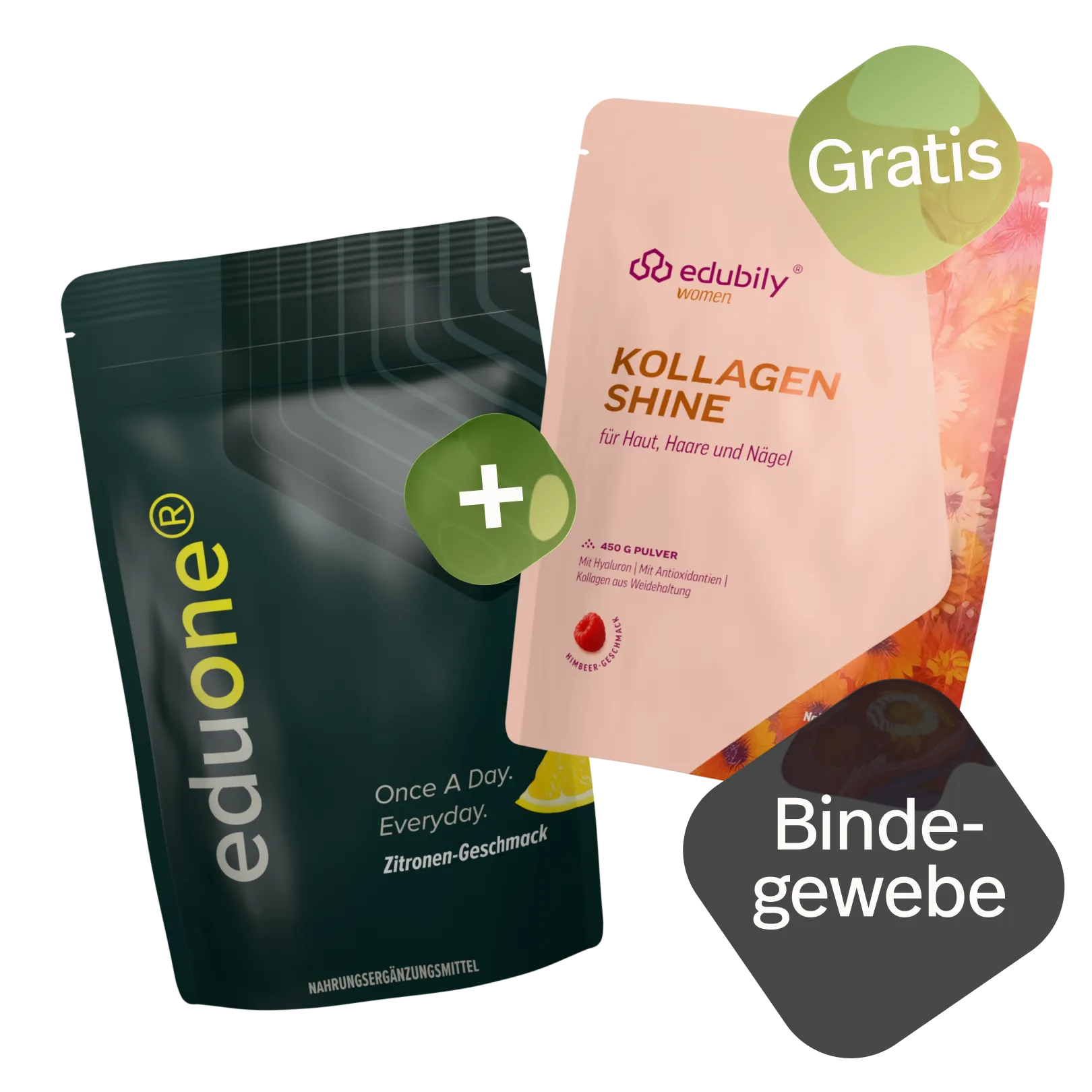 Bindegewebe Bundle