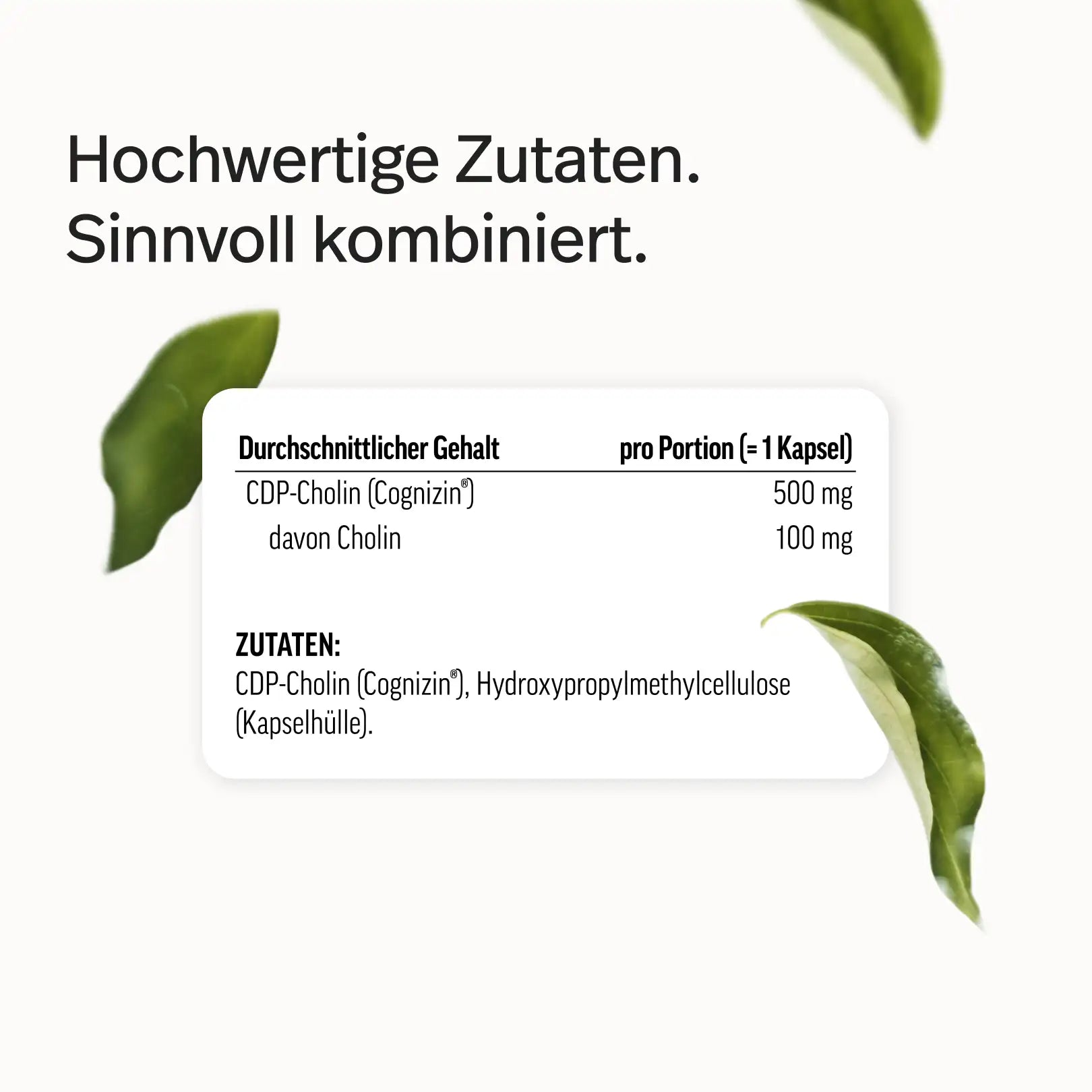 Cholin Kapseln – als CDP-Cholin