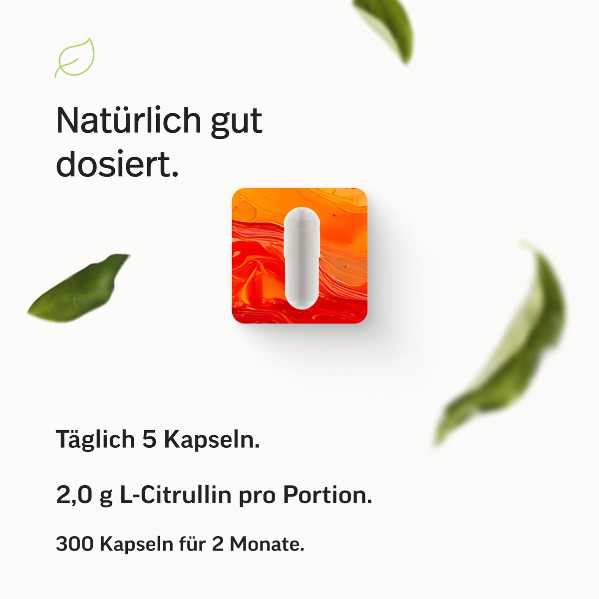 Citrullin-Malat Kapseln