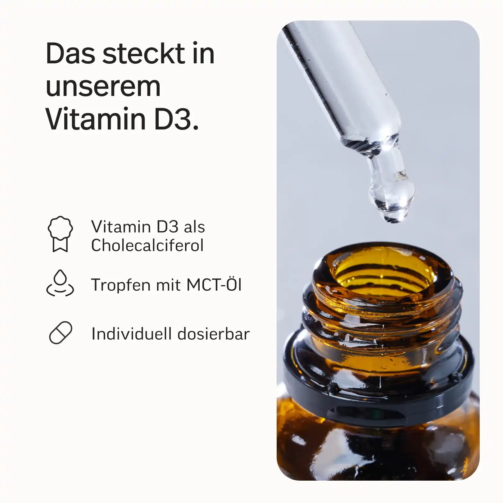 Darm-Bundle
