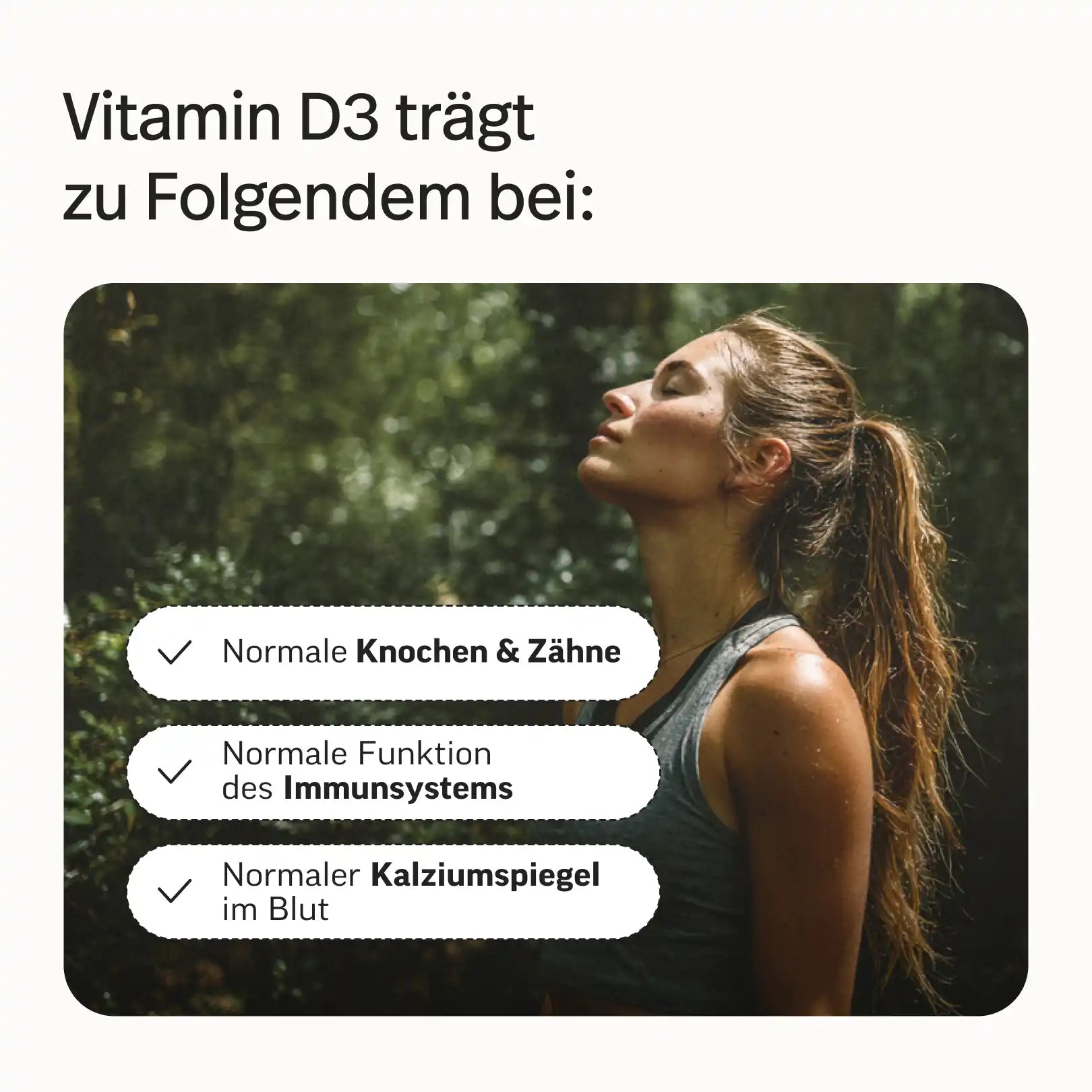 Darm-Bundle
