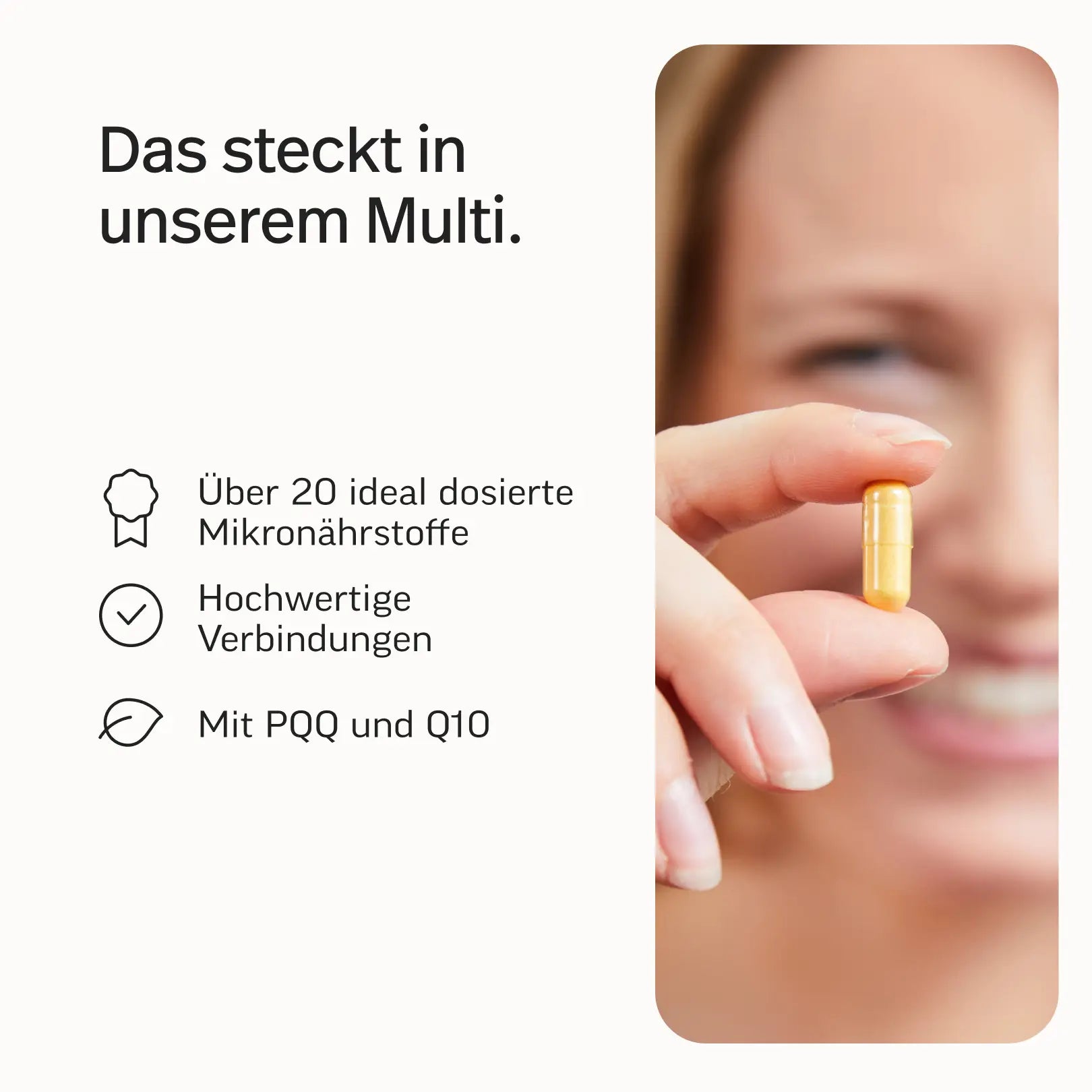 Gründer-Bundle Phil