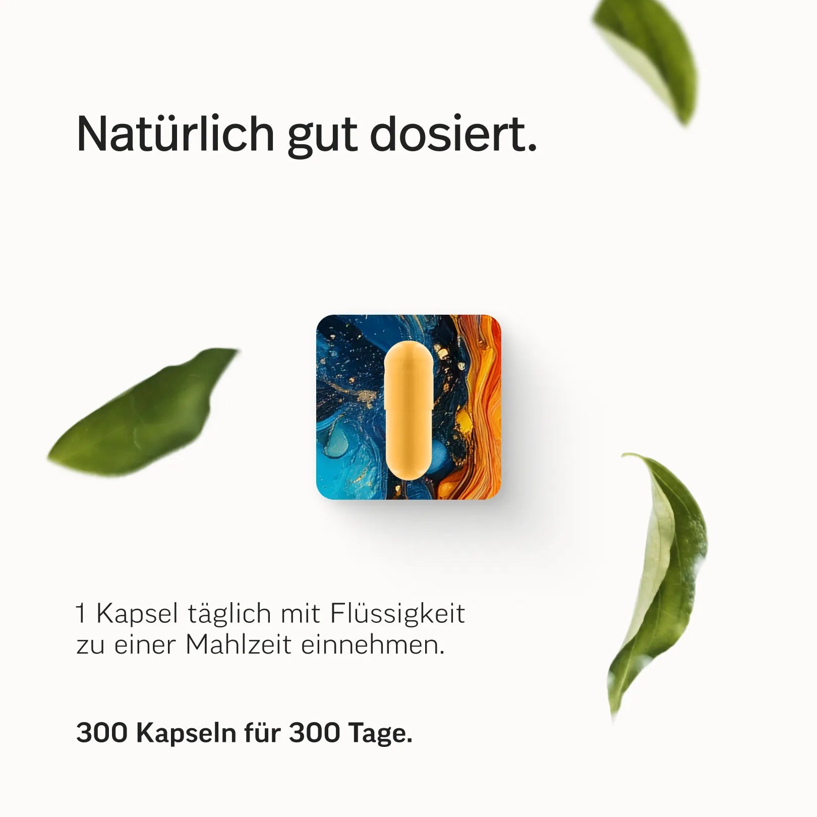 #Variante_Mit Iod (das Original) - 300 Kapseln