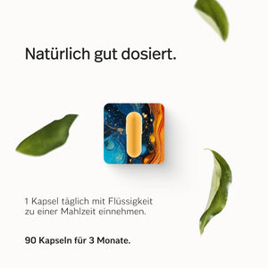#Variante_Mit Iod (das Original) - 90 Kapseln