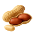 Erdnuss