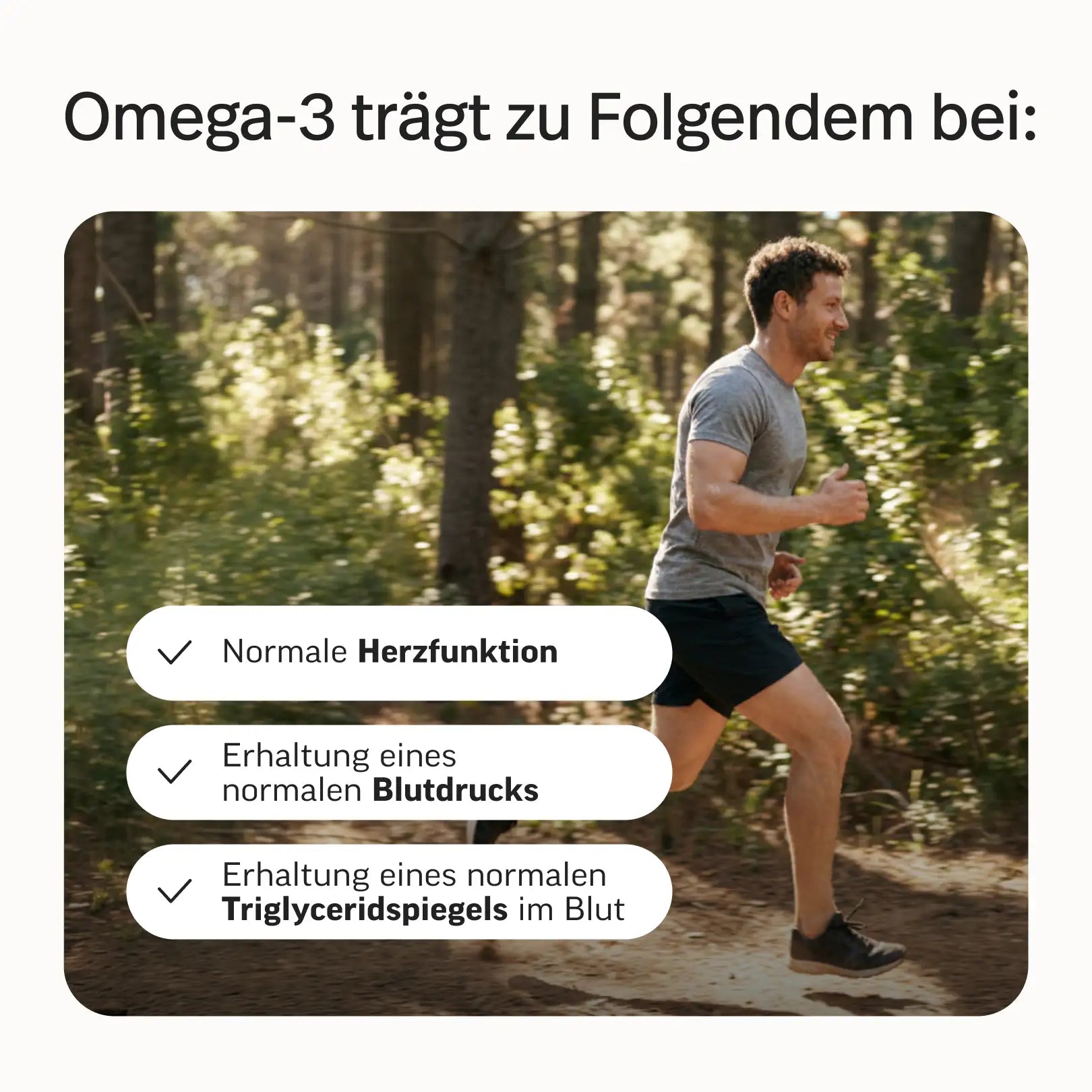 Essential Bundle