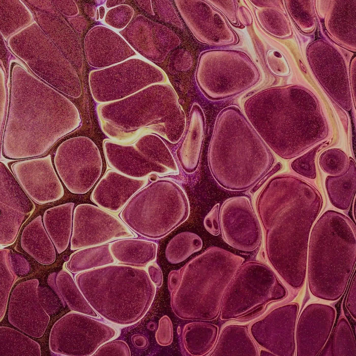 Citrullin-Malat Kapseln