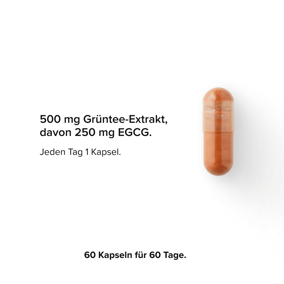Grüntee-Extrakt Kapseln mit 50 % EGCG