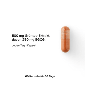 Grüntee-Extrakt Kapseln mit 50 % EGCG