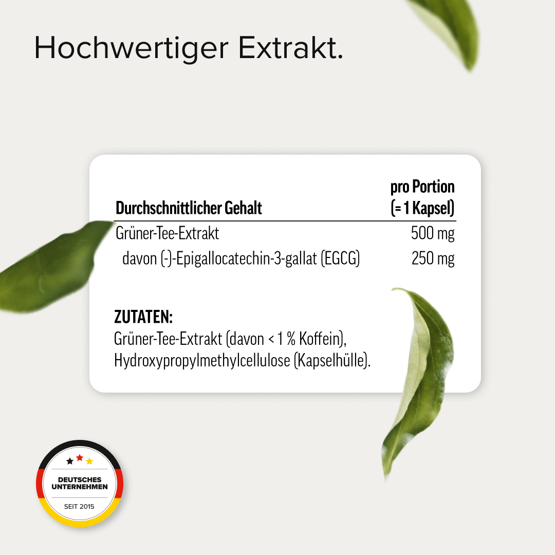 Grüntee-Extrakt Kapseln mit 50 % EGCG