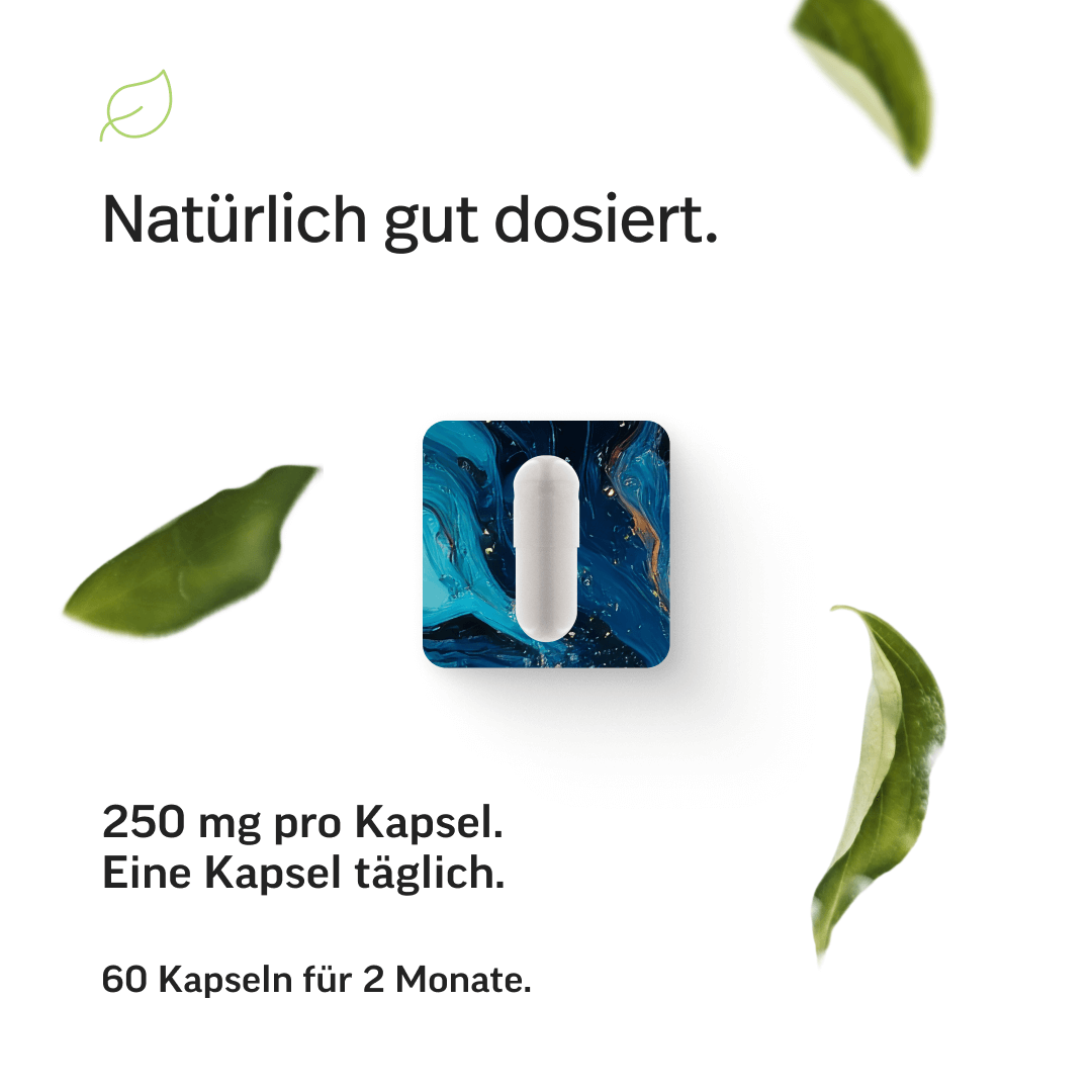 Hyaluronsäure Kapseln