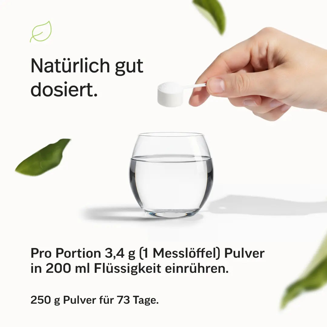 Kreatin Pulver Creavitalis®