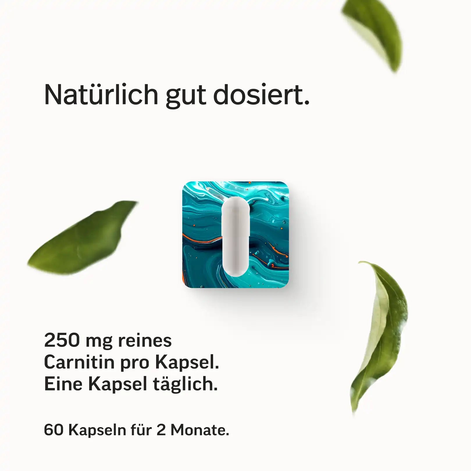 L-Carnitin Kapseln ohne Zustze Hier online kaufen L-Carnitin Kapseln ohne Zustze Hier online kaufen