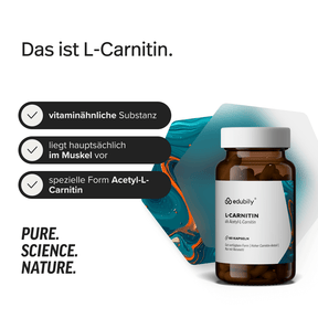 L-Carnitin Kapseln