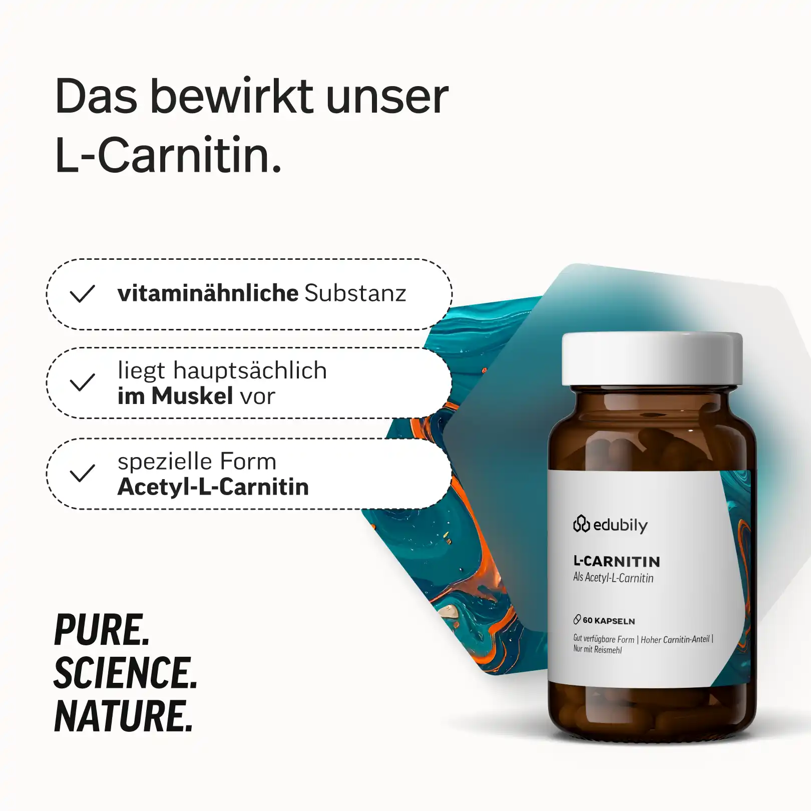 L-Carnitin Kapseln