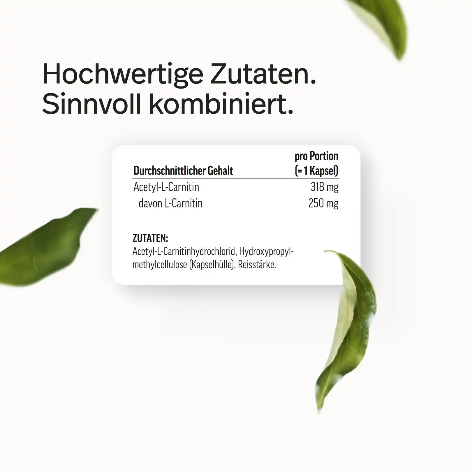 L-Carnitin Kapseln ohne Zustze Hier online kaufen L-Carnitin Kapseln ohne Zustze Hier online kaufen