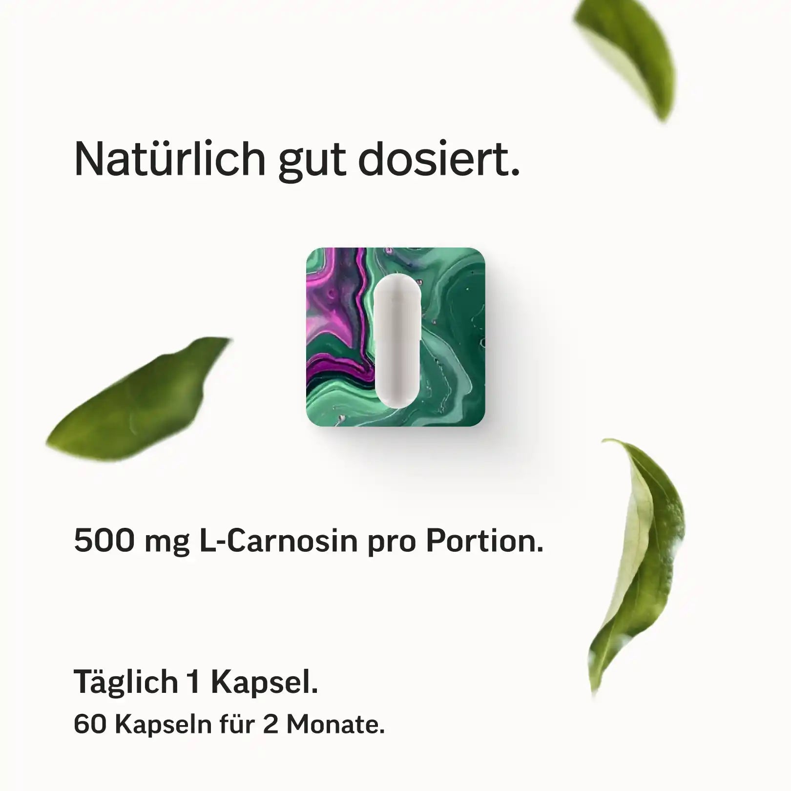 L-Carnosin Kapseln