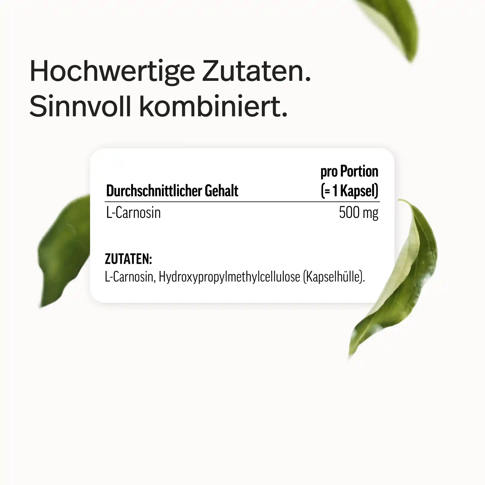 L-Carnosin Kapseln