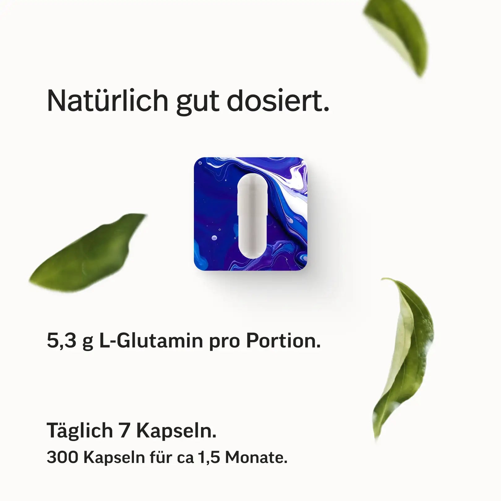 L-Glutamin Kapseln