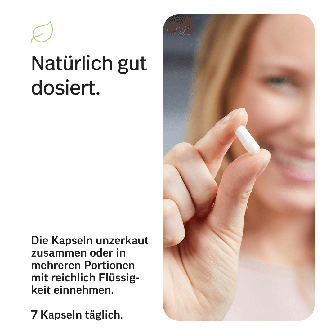 LP7 Aminosäuren Kapseln