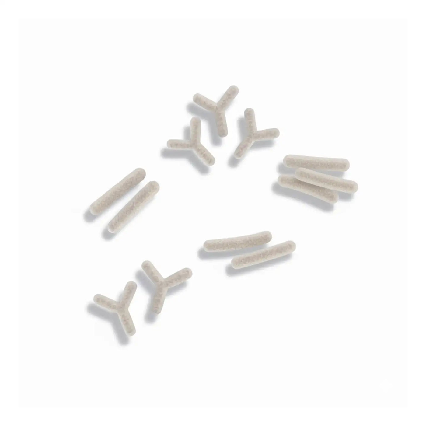 Vitasauri® - Kids Flor